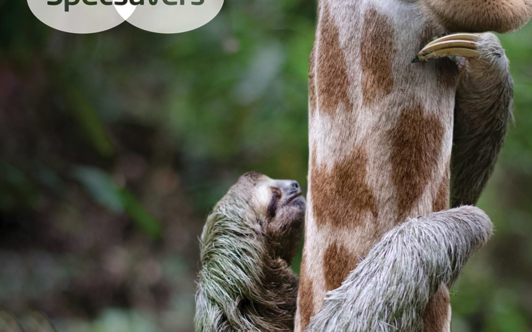 OMB: sloths [JOINT-WINNER]